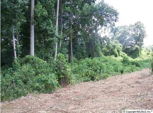 Creek Path Rd, Guntersville, AL 35976