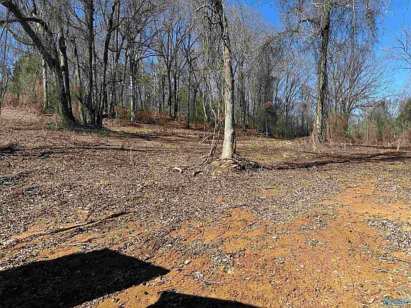 2nd image of Gordon Terry Pkwy
