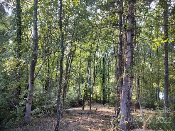 43 Baxter Woods Ln #9, Candler, NC 28715