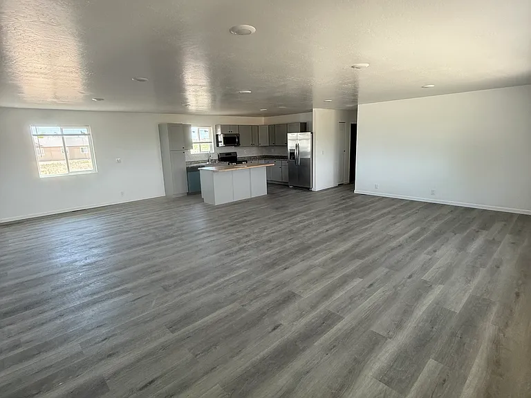 Living room/kitchen