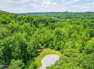 439 Ridgeway Pass, Spring City, TN 37381