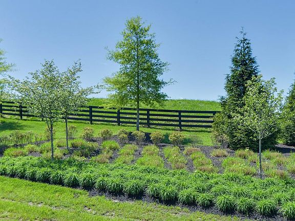4th image of 255 Rock Cress Rd #509-lot 509