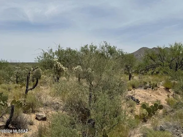 14823 S Carlsburg Ave #198, Tucson, AZ 85736