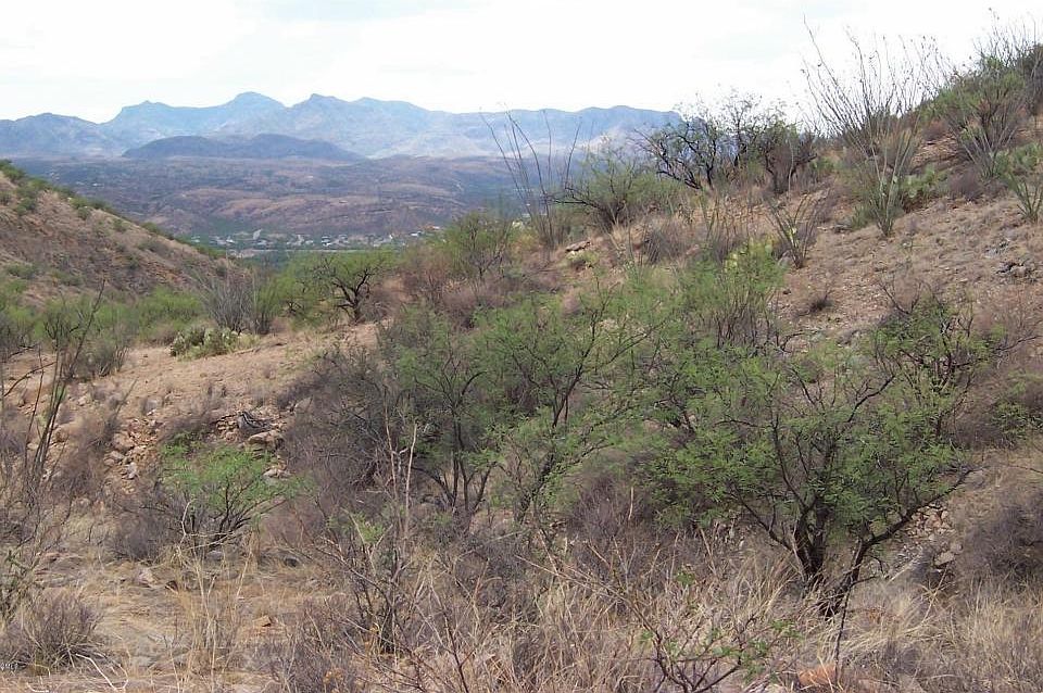 2nd image of 1408 Via San Cayetano