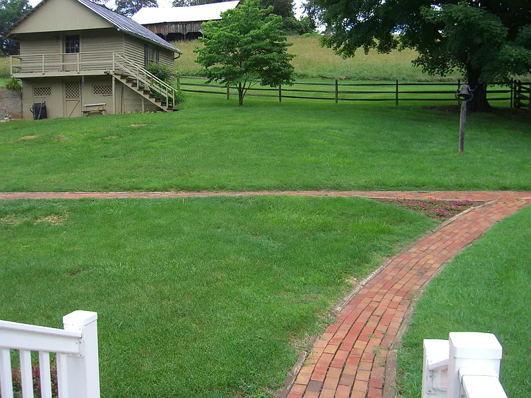 115 Old Buena Vista Rd — Photo 11