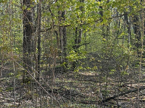4th image of L-228 Forest Hill Dr #229