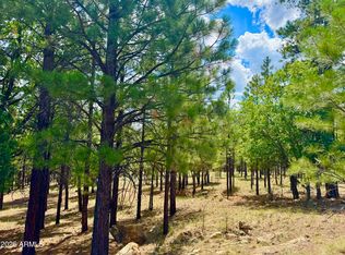 2684 Apache Dr #571, Happy Jack, AZ 86024