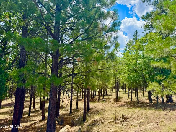 2684 APACHE Drive #571, Happy Jack, AZ 86024