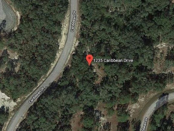 5th image of 1235 Caribbean Dr