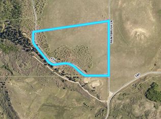 LOT-61V Two, Placerville, CO 81430