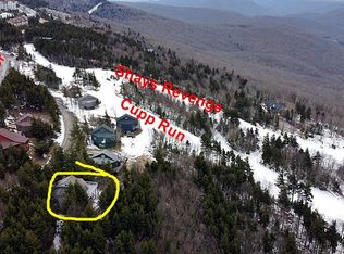 54 Sundown Dr, Slatyfork, WV 26291