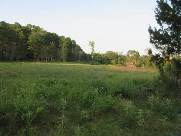 Tbd Curtis Black Rd, Hallsville, TX 75650