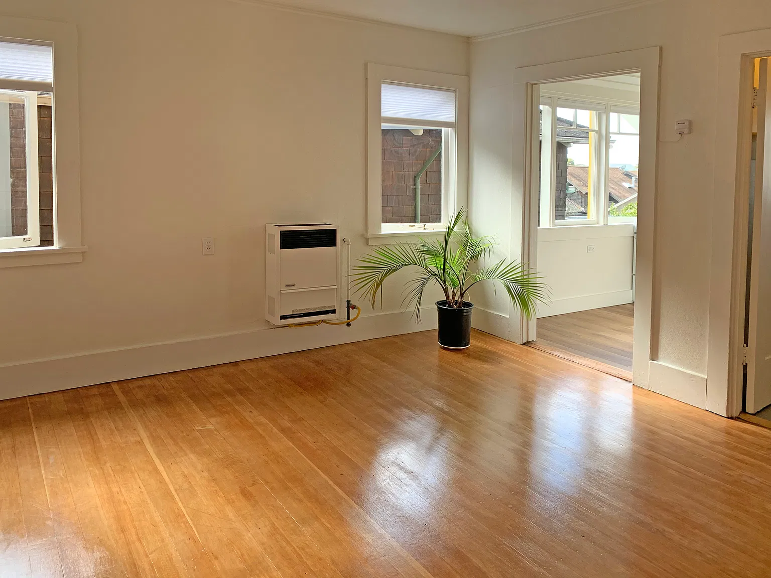 Studio, 260 sqft, $1,850 — Photo 3