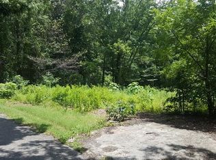 46 Duckett Rd, Candler, NC 28715