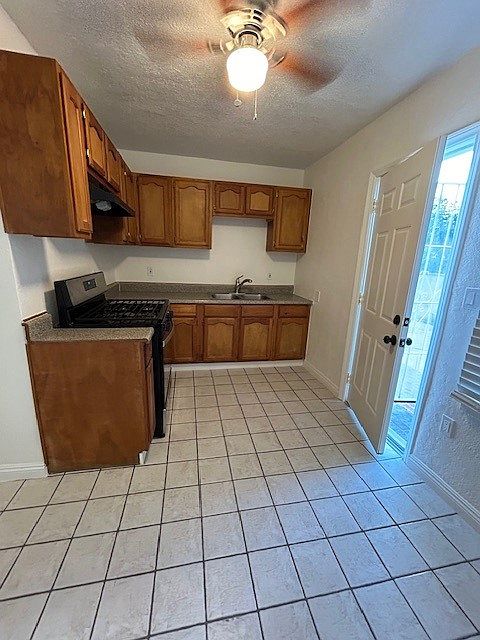 Kitchenette & Entrance