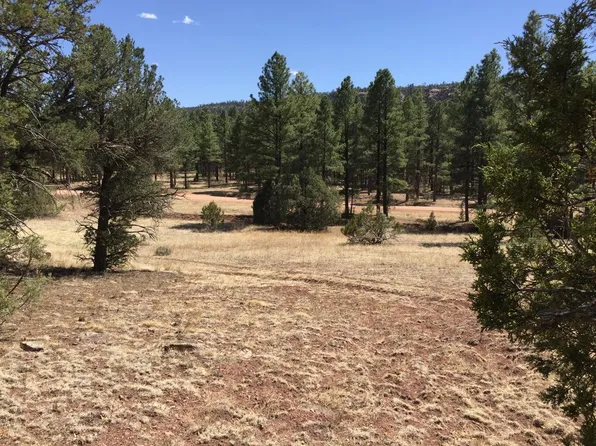 Lots 1 2 Timberlake Rd, Ramah, NM 87321