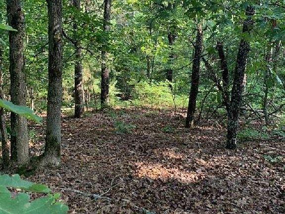 2nd image of LOT 8 Bluff St