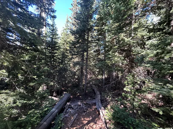 W Hunter Ridge Dr, Brian Head, UT 84719