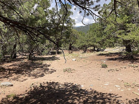 Flat, buildable site