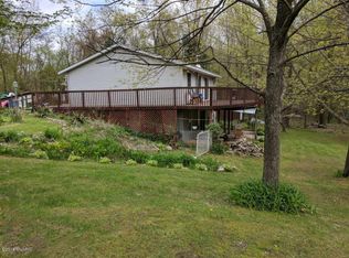 11465 Four Mile Rd, Belding, MI 48809