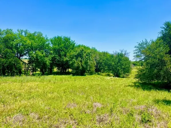 89 Kerry Ct, Poolville, TX 76487