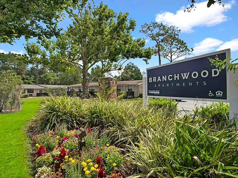 Branchwood — Photo 20