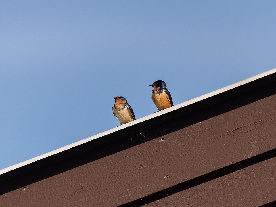 79th image of this home