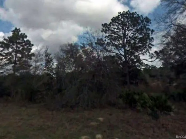 6648 N Varsity Ave, Citrus Springs, FL 34434