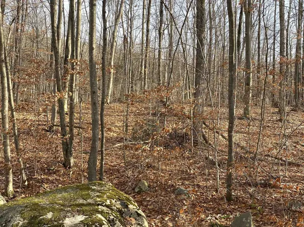 20 Forest Ridge Drive #14, Middlebury, VT 05753