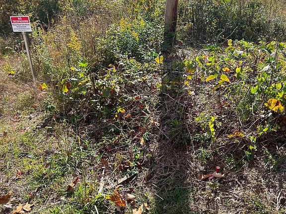 5th image of 38/ACRE S County Road 684
