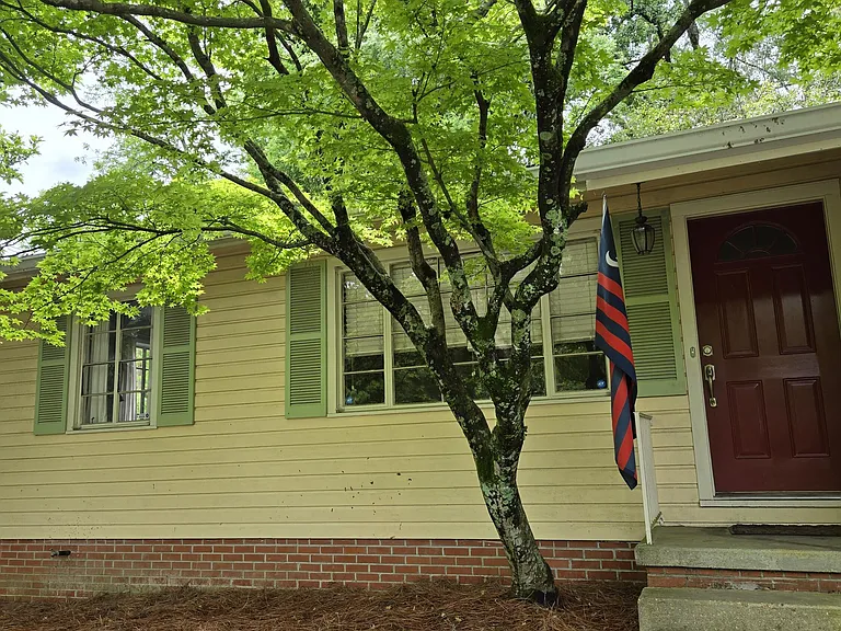1119 Manship St — Photo 5