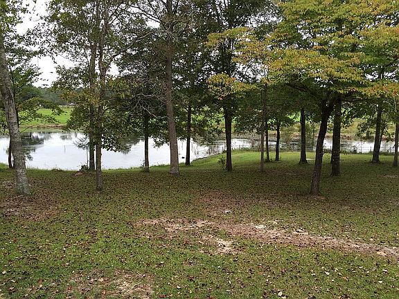 View from front porch