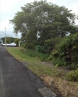 1st image of Kukuau Mohouli Lot 180