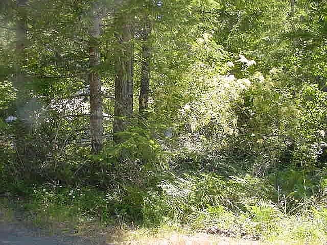 2nd image of 134 Sunstone Rd