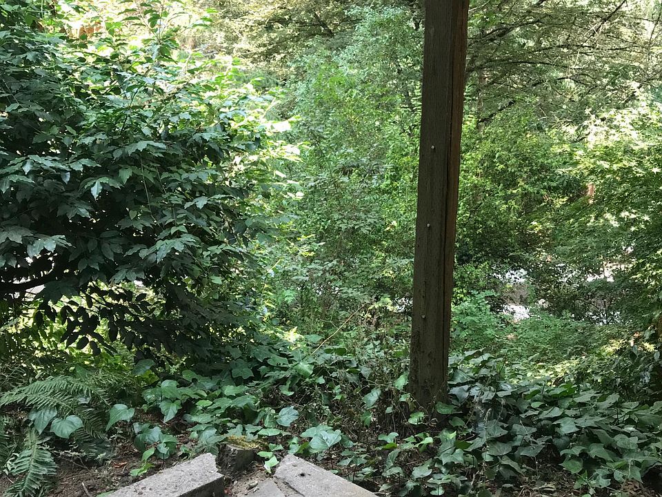 View from your new front door
