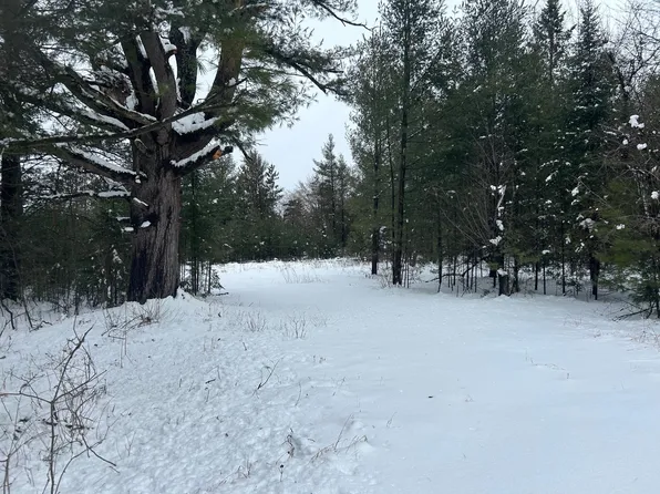 606 E Brook St, Suring, WI 54174