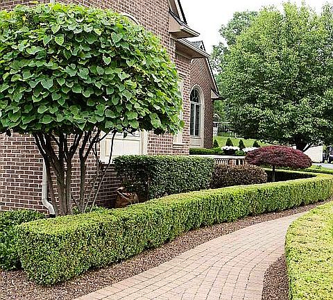 4th image of 18505 Fox Hollow Ct