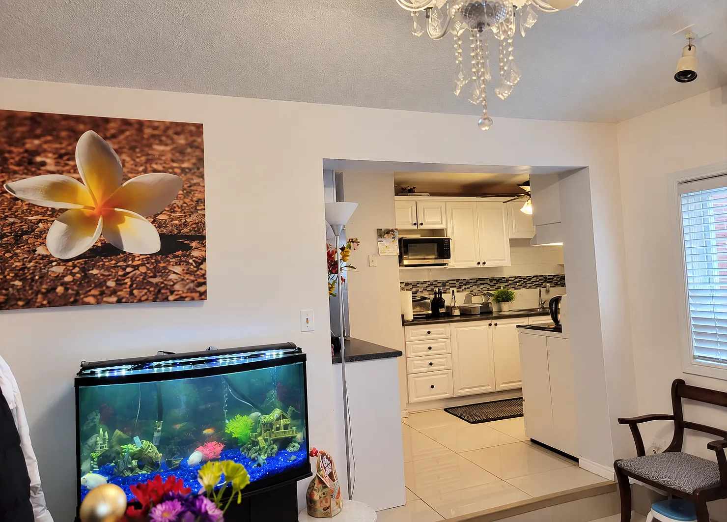 Attila Ct, Etobicoke — Photo 4