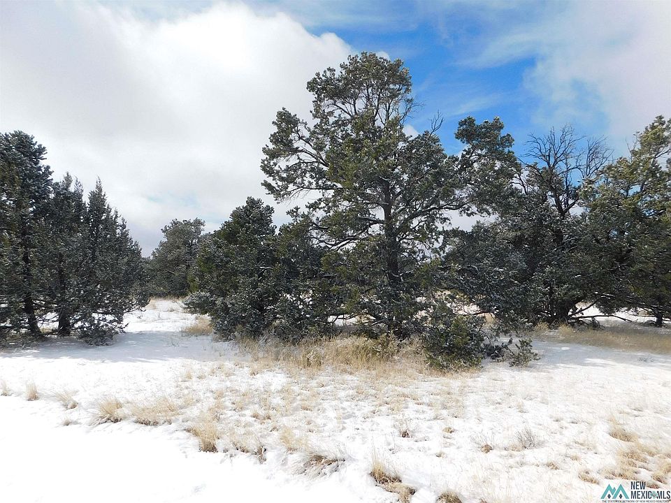 2nd image of 28 Spring Canyon Cir