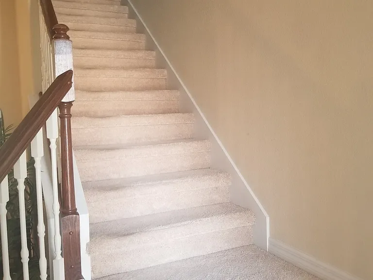 4910 Fiorazante Ave — Photo 10