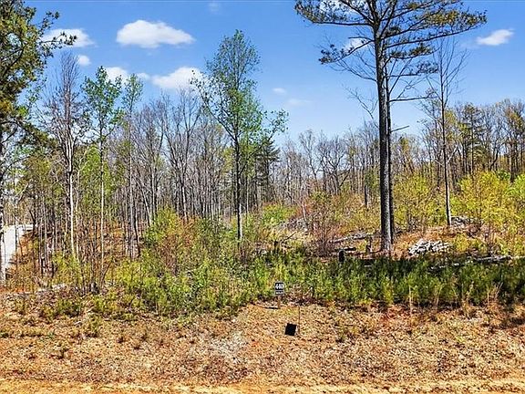 4th image of 0 Twisted Oak Rd #440