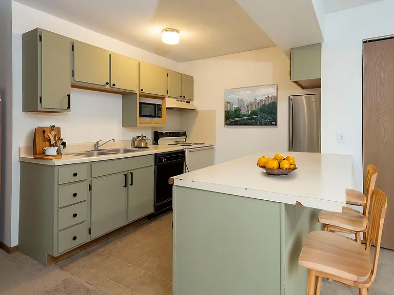 1011 5th Ave S #303 — Photo 2