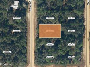 0 Neisman Ave, Interlachen, FL 32148