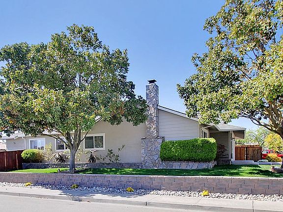 Side Yard Lawn for Playing