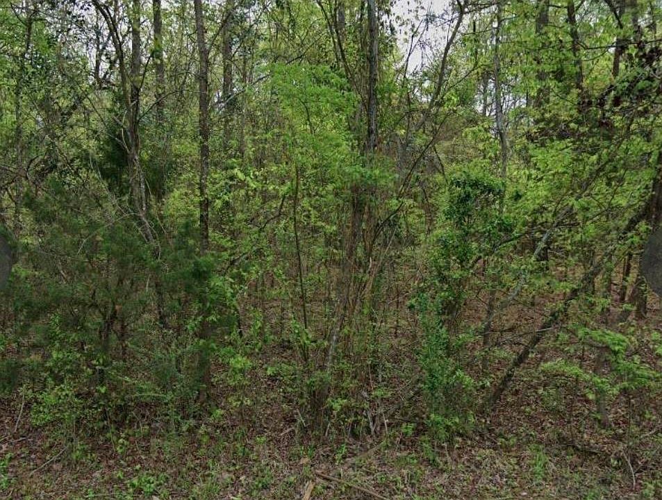 2nd image of 2 Acres
