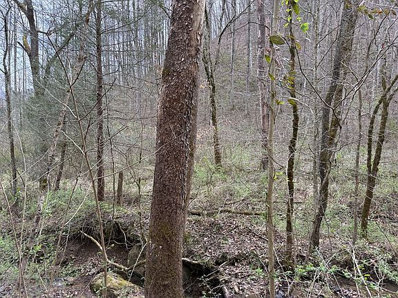 4th image of 291 Sugar Camp Rd