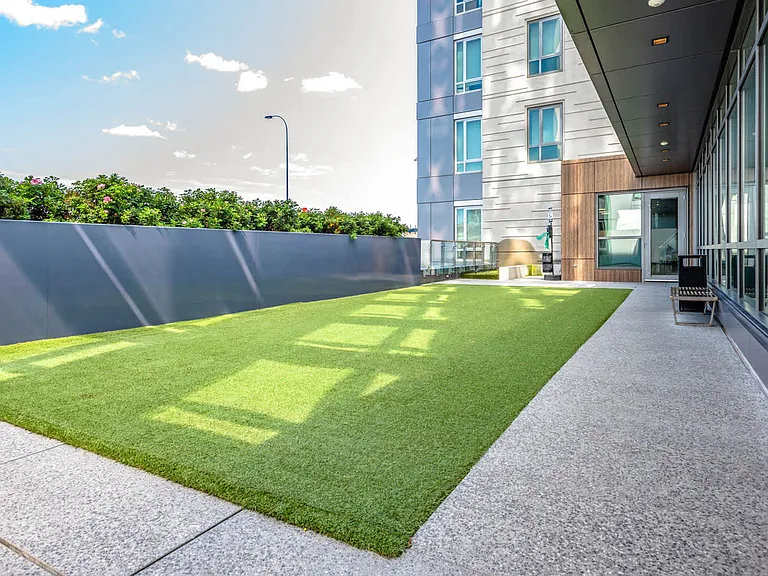 Outdoor Dog Run