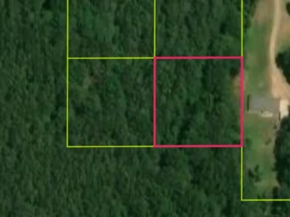 Summit Dr SW, Bogue Chitto, MS 39629