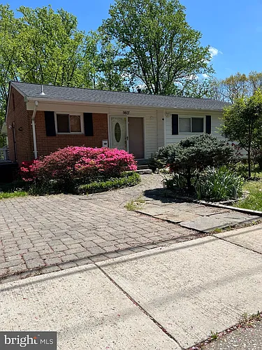 9807 Arbor Hill Dr Photo 1