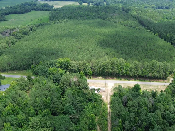 0 County Road 40, Brilliant, AL 35548